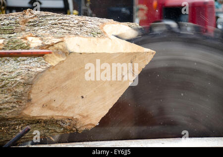 Sägen Protokolle in Planken mit traditionellen Sägewerk. Stockfoto