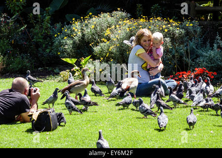 Kapstadt Südafrika, Stadtzentrum, Zentrum, Government Avenue, Garten des Unternehmens, öffentlicher Park, Frau weibliche Frauen, Mutter, Mädchen, Youngster, weibliches Kind Stockfoto