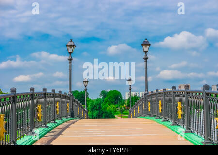 Brücke in Zarizyno Park, Moskau, Russland Stockfoto