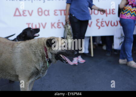 Athen, Griechenland. 22. Juli 2015. Eine Straße Hund führt den Marsch der Fremdsprachenlehrer an den Protest gegen die zweite Tranche der griechischen Sparmaßnahmen in Athen. Griechen protestierten vor dem griechischen Parlament als 2. Tranche der neuen Sparmaßnahmen wurden im Parlament diskutiert. Die neuen Gesetze sind ein Gesetz und Banking-Reform. Der Protest blieb weitgehend friedlich mit ein paar Schlägereien zwischen Polizei und Anarchisten am Ende. Bildnachweis: Michael Debets/Alamy Live-Nachrichten Stockfoto