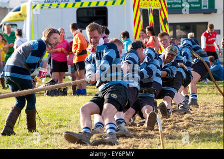 Llanelwedd, Powys, UK. 22. Juli 2015. Tug-O-War-Teams kämpfen um am Abend des dritten Tages der The Royal Welsh Show. Die Royal Welsh Show wird als der größte & renommiertesten Veranstaltung ihrer Art in Europa gefeiert. Mehr als 200.000 Besucher erwartet diese Woche über die viertägige Show Zeitraum - 2014 sahen 237.694 Besucher, 1.033 Alpakas & ein Datensatz 7.959 Vieh Aussteller. Die erste show jemals war bei Aberystwyth in 1904 und zog 442 Vieh Einträge. Bildnachweis: Graham M. Lawrence/Alamy Live-Nachrichten. Stockfoto