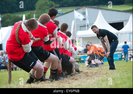 Llanelwedd, Powys, UK. 22. Juli 2015. Tug-O-War-Teams kämpfen um am Abend des dritten Tages der The Royal Welsh Show. Die Royal Welsh Show wird als der größte & renommiertesten Veranstaltung ihrer Art in Europa gefeiert. Mehr als 200.000 Besucher erwartet diese Woche über die viertägige Show Zeitraum - 2014 sahen 237.694 Besucher, 1.033 Alpakas & ein Datensatz 7.959 Vieh Aussteller. Die erste show jemals war bei Aberystwyth in 1904 und zog 442 Vieh Einträge. Bildnachweis: Graham M. Lawrence/Alamy Live-Nachrichten. Stockfoto