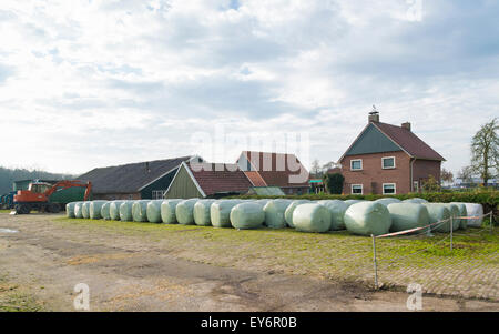 Heuballen, eingewickelt in Plastikfolie vor einem Bauernhof Stockfoto