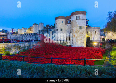 Mohnblumen auf dem Tower von London 2014 für Erinnerung-Tag zum Gedenken an die Soldaten, die im Krieg gestorben sind Stockfoto