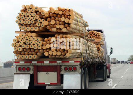 Große LKW Transport von Holz Stockfoto