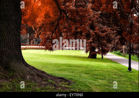 Autumn colors city park Stockfoto