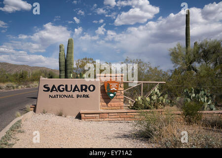 Der Saguaro-Nationalpark-Schild am Eingang zum Abschnitt Osten des Parks in der Nähe von Tucson, Arizona, USA. Stockfoto