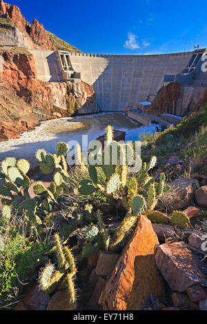 Theodore Roosevelt Dam, Wasserkraft erzeugen, Apache Trail in Arizona Highway 88, Arizona, USA Stockfoto