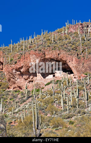 Gut erhaltene Klippenwohnungen an Tonto National Monument, Arizona, USA Stockfoto