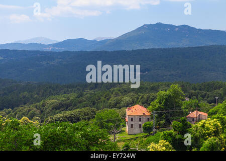 Korsische Landschaft, alte Wohnhäuser und dunklen Bergen am Horizont. Zonza, Korsika, Frankreich Stockfoto