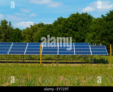 Photovoltaik- oder PV-Module auf ein Solarpark in Nottinghamshire, England UK verwendet, um saubere grüne erneuerbare Energie generieren Stockfoto