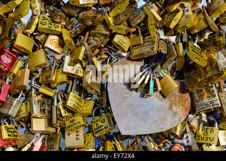 Liebesschlösser auf dem Geländer der Brücke Pont des Arts, Paris, Frankreich Stockfoto