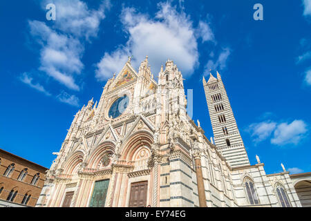 Santa Maria Assunta Dom in Siena, Italien. Stockfoto