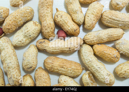 Gebackene Erdnüsse in Schalen auf dem weißen Hintergrund Stockfoto