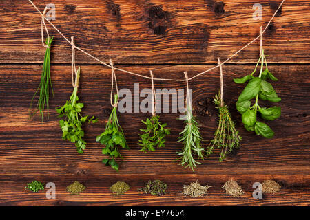 Küchen-und Gewürzkräuter. Aromatische Kräuter, Basilikum, Koriander, Petersilie, Schnittlauch, Minze und Rosmarin hängen Saite im alten Landhausstil Stockfoto