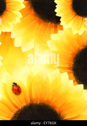 Marienkäfer sitzt auf einer Sonnenblume Stockfoto