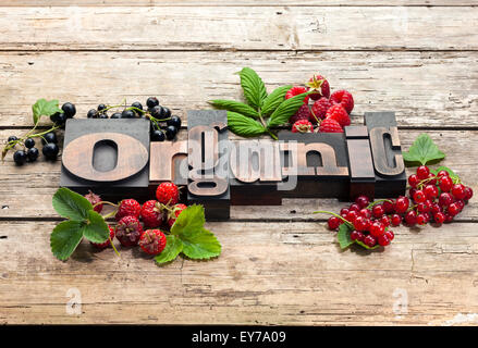 Wort "ökologisch" geschrieben mit Vintage Buchdruck Druckstöcken, umgeben von einer Vielzahl von frischen Beeren-Früchten auf Holz Hintergrund Stockfoto