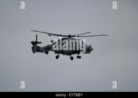 Royal Navy Wildcat Helikopterfliegerei in Bournemouth Air Festival 2014 Stockfoto