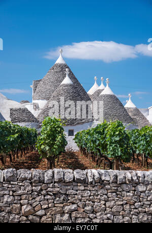 Reben und Trulli von Alberobello und Locorotondo, Apulien, Italien. Stockfoto