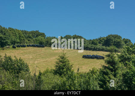 Schwarz Kunststoff silage Heu Ballen im Fernfeld. Metapher für die Ernährungssicherheit/Anbau von Nahrungsmitteln. Stockfoto