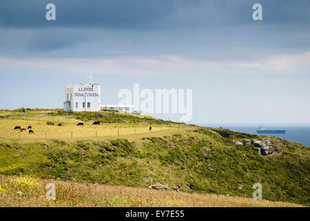 LLoyds Signal Station auf dem South West Coast Path Klippen mit Blick aufs Meer in der Nähe von Lizard Point, Cornwall, England, UK Stockfoto