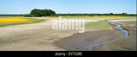 See entwässert / leere Etang du Blizon verwendet für Fischzucht im Parc Naturel Régional De La Brenne, Indre, Frankreich Stockfoto