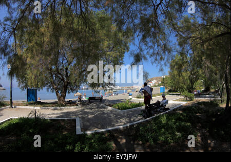 Ölweiden Bäume und Schatten am Strand von den wichtigsten Agios Efstratios Kai. Agios Efstratios Insel Lesbos Präfektur, Griechenland Stockfoto