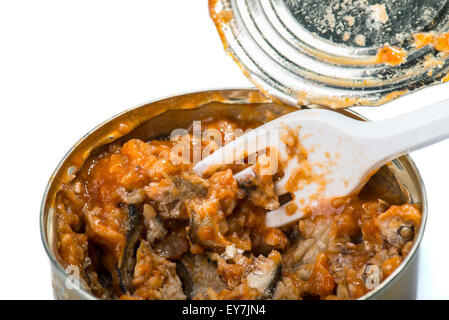 Fischkonserven in Tomatensauce auf weißem Hintergrund Stockfoto