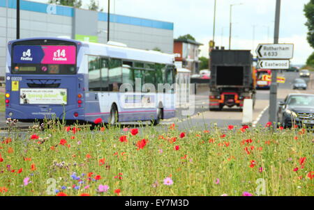 Traffic navigiert einen Kreisverkehr gesät mit Wildblumen im Parkgate, Rotherham, South Yorkshire England UK Stockfoto