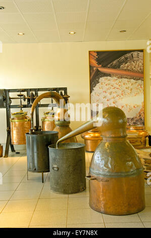 Fragonard Parfümfabrik, Grasse (weltweite Hauptstadt der Parfümerie), Alpes-Maritimes, cote d ' Azur, Côte d ' Azur, Frankreich Stockfoto