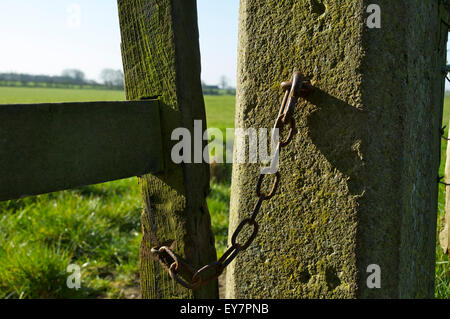 Rostige Kette und Riegel auf eine alte Holztor und konkrete Pfosten Stockfoto