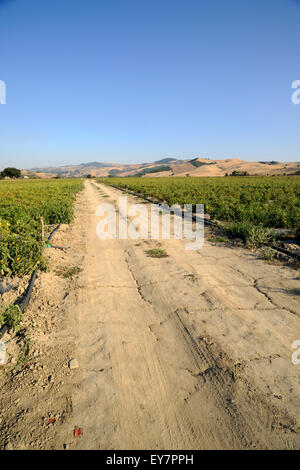 Italien, Basilicata, Sauro-Tal, auf dem Land, Landstraße Stockfoto