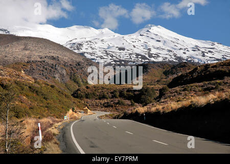 Weg zum Mount Ruapehu, Tongariro National Park, Neuseeland Stockfoto