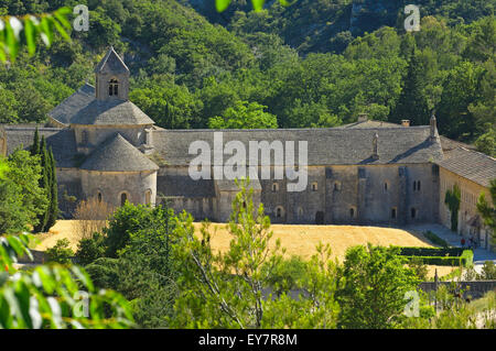 Abbaye Notre-Dame de Senanque (Senaque Abbey), Gordes, Provence, Frankreich Stockfoto