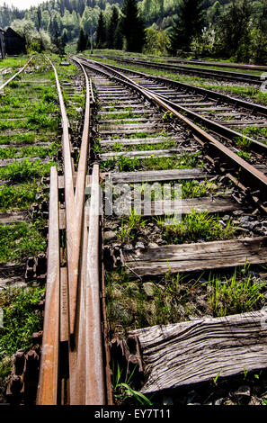 Eisenbahnen in rumänische Landschaft Stockfoto