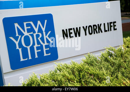 Ein Logo Zeichen außerhalb einer Einrichtung, die von der New York Life Insurance Company in Glen Allen, Virginia am 19. Juli 2015 besetzt. Stockfoto