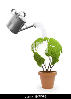 Topfpflanze, geformt wie eine Weltkarte - Ökologie und grüne Lifestyle-Konzept Stockfoto