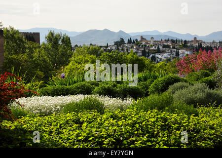 Gärten von Generalife mit Blick auf Festung Alhambra und Albaicin mit Bergen von Granada Stockfoto