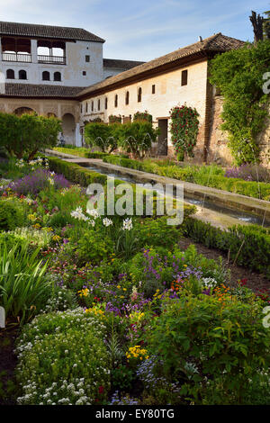 Blume Garten im Hof des Wasserkanal Sultane nördlich Pavillion Generalife Granada Stockfoto
