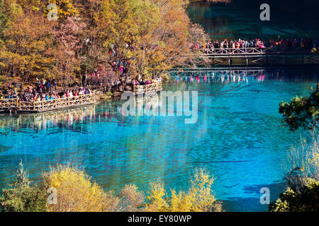 Jiuzhaigou Nationalpark, fünf Blume See ist See in Sichuan, China Stockfoto