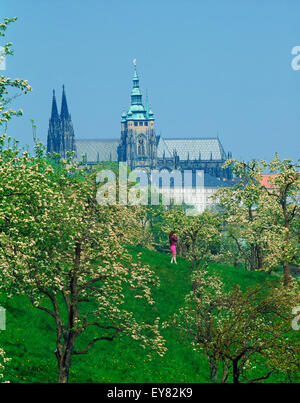 Frau allein unter Apfelbäumen blühen auf den Petrin-Hügel in Prag mit St Vitu s Cathedral und Hradschin Burg Stockfoto