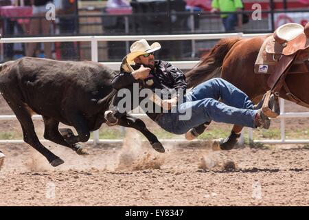 Wyoming, USA. 23. Juli 2015. Ein professionelle Rodeo-Cowboy packt eine Steuern bei den Hörnern während Steer Wrestling im Cheyenne Frontier Days Rodeo in Frontier Park Arena 23. Juli 2015 in Cheyenne, Wyoming. Frontier Days feiert die Cowboy Traditionen des Westens mit einem Rodeo, Parade und Fair. Stockfoto