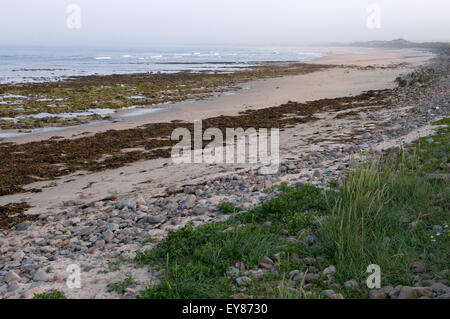 Strand bei Ebbe, Sinclair Bay, Caithness, Schottland Stockfoto