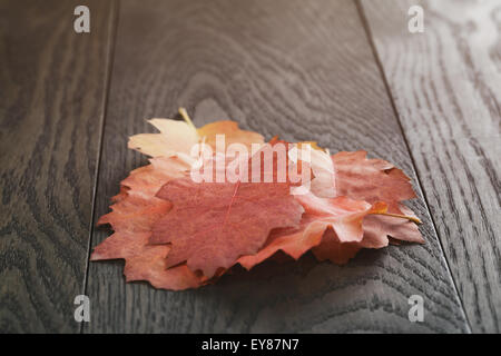 Vintage getönten Herbst, das Eichenlaub für Hintergrund Stockfoto
