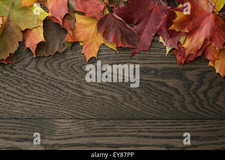 Herbstliches Laub direkt von oben Stockfoto