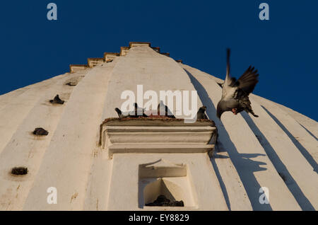 Swayambhunath Tempel in Khatmandu - dem Affentempel Stockfoto