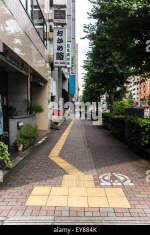 Braille-Block, Minato-Ku, Tokyo, Japan Stockfoto