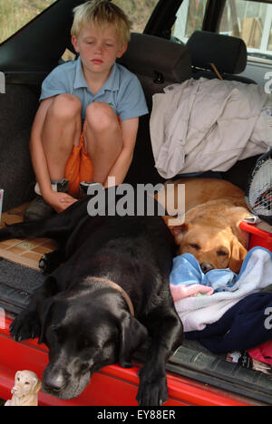 Kleiner Junge sitzt im Kofferraum des Autos mit seinen Hunden suchen satt Stockfoto