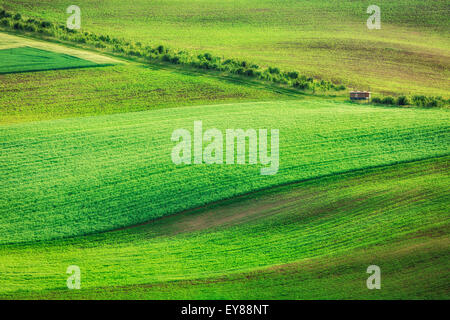 Landschaft der grünen Felder in Südmähren, Tschechische Republik Stockfoto