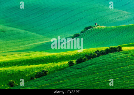 Ländliche Europa Hintergrund - mährischen Landschaft mit Turm-Hütte auf dem Sunset Jagd. Mähren, Tschechien Stockfoto